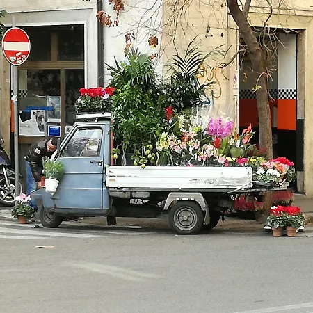 דירה La Casa Di Alice *